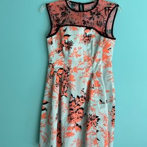 Nanette Lepore dress, Women's size 8